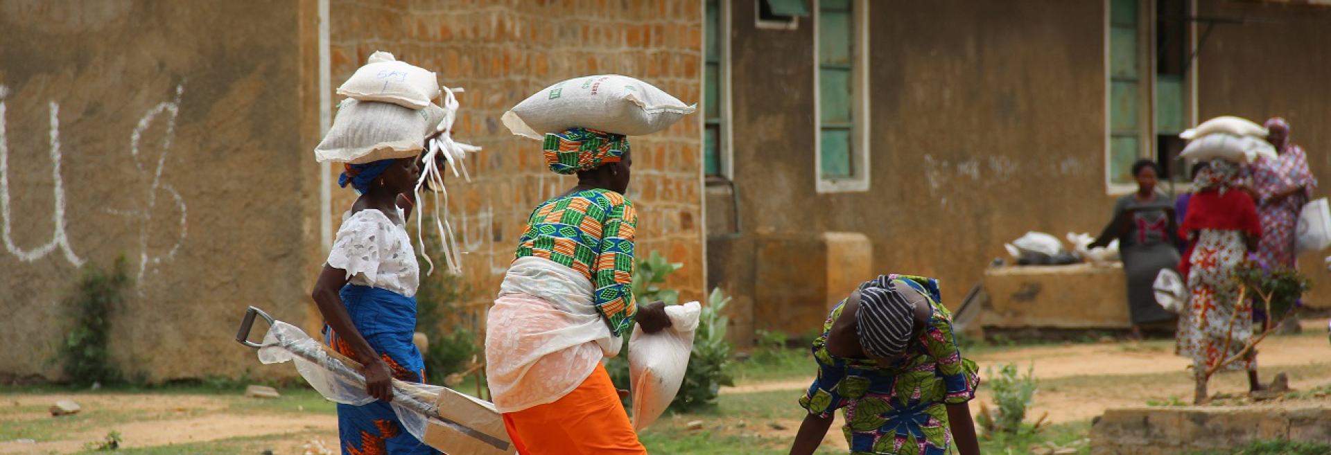 Rebuilding North-East: 3,000 displaced farmers get farm inputs